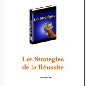 Les strategies de la reussite